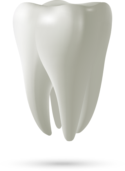 tooth model Lafayette IN